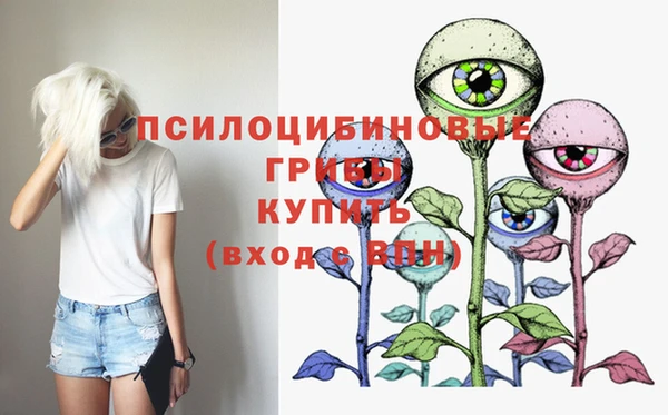 круглые Армянск